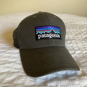 Brand New Patagonia Logo Hat